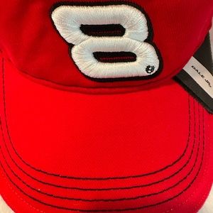 Dale Earnhardt visor
